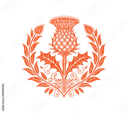 Scottish thistle vector line art in Celtic style flower 
