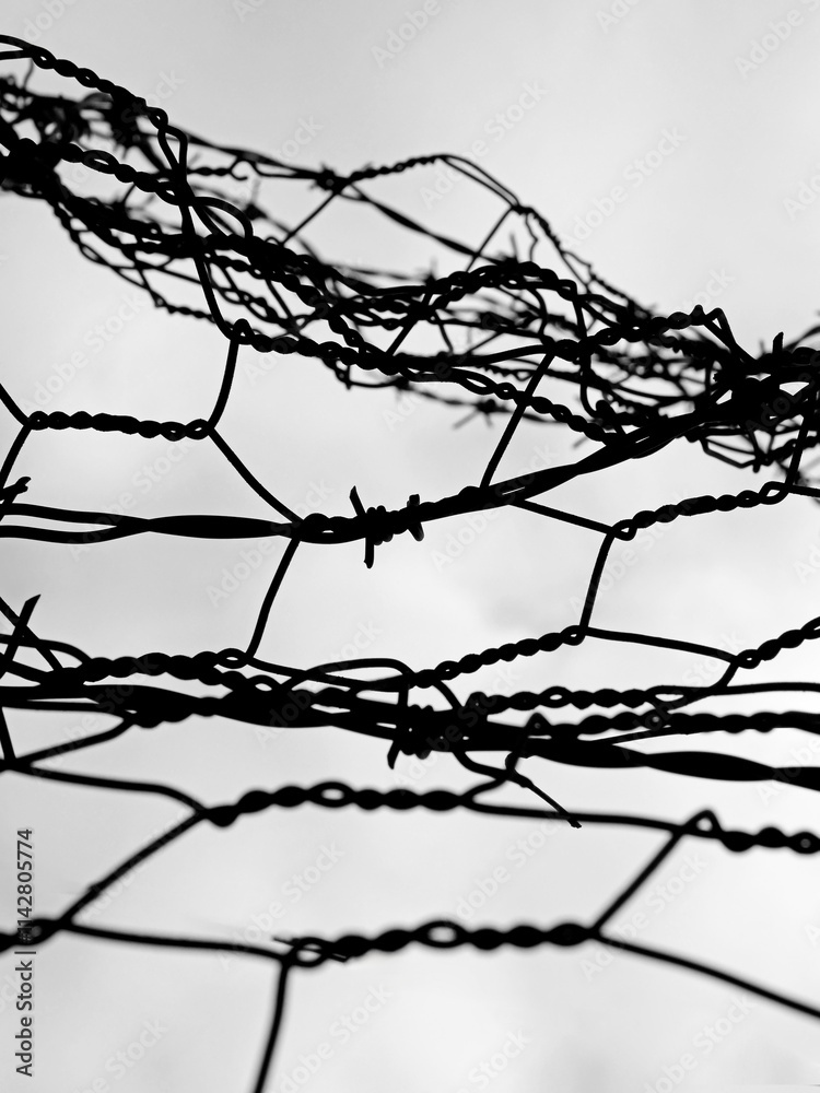 black and white barbed wire fence
black and white barbed wire fence