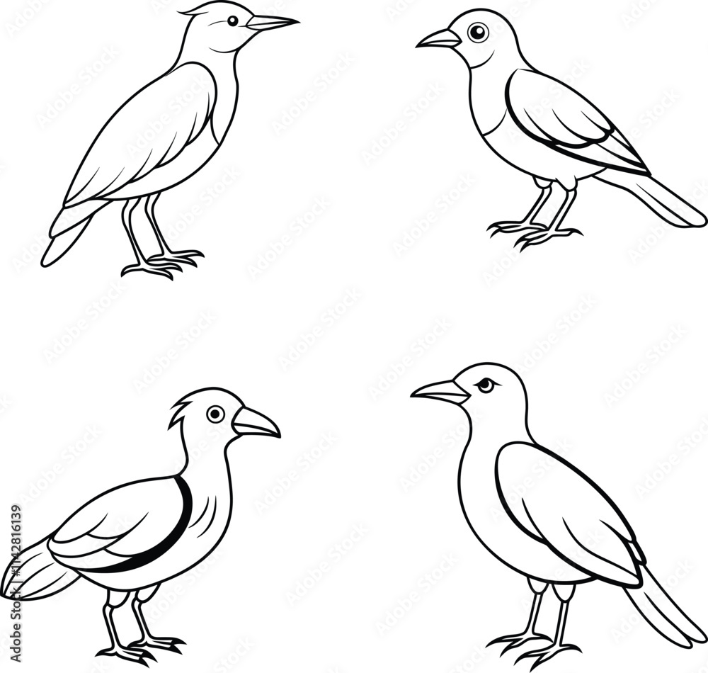 Fototapeta premium Beautiful Birds Line Art Vector