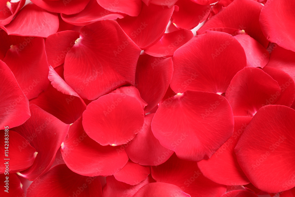 Fresh red rose petals as background, closeup Fresh red rose petals as background, closeup