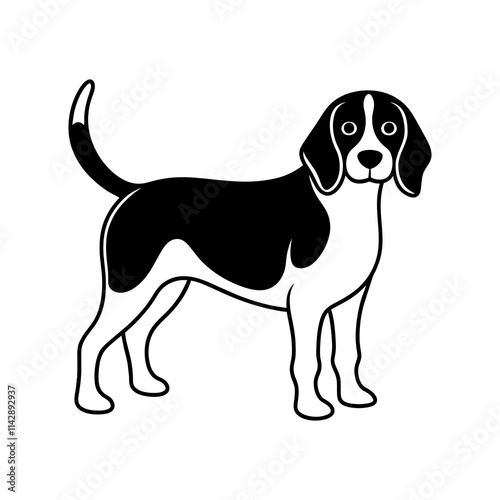 beagle dog isolated on white background