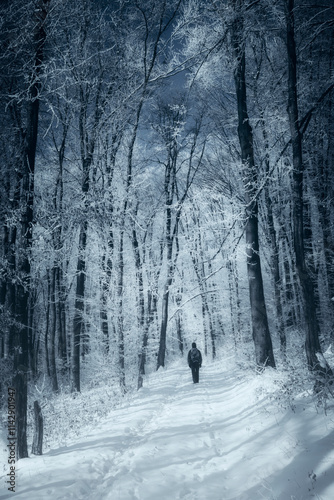 man walking in snow on fore...