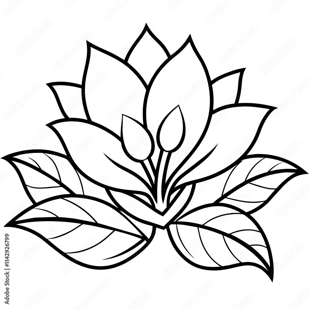 Fototapeta premium black and white lotus flower