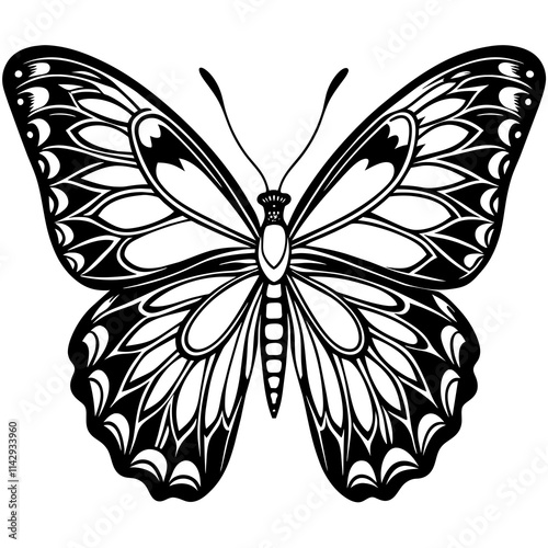 black and white butterfly