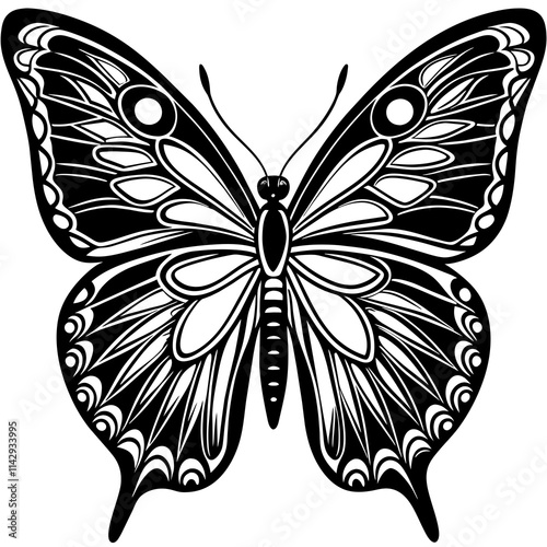 black and white butterfly