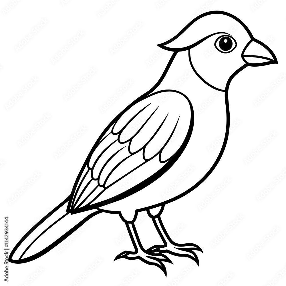 Fototapeta premium sketch of a bird
