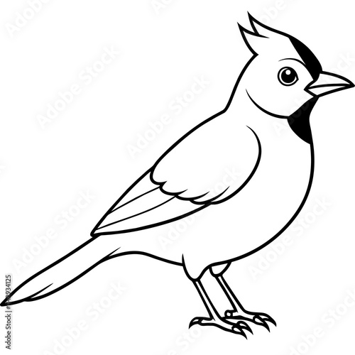 illustration of a bird