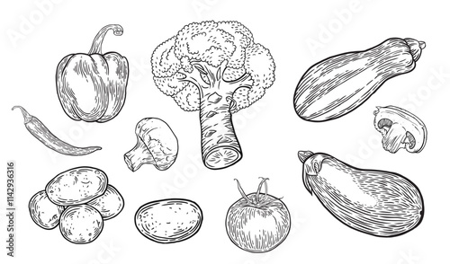 Vegetables hand-drawn set. Broccoli, peppers, zucchini, potatoes and eggplant fresh food. Collection of delicious products for menu design, grocery store and posts about healthy eating.