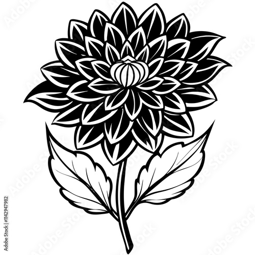 black and white rose flower vector illustration
