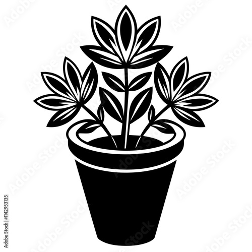 flower in pot