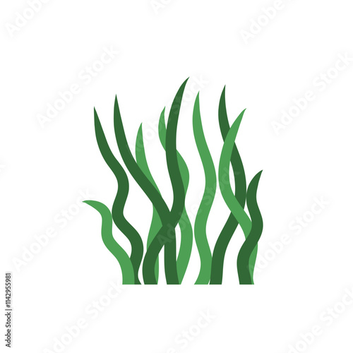 underwater sea plants and green algae for food. Plants of the aquarium. Vector illustration