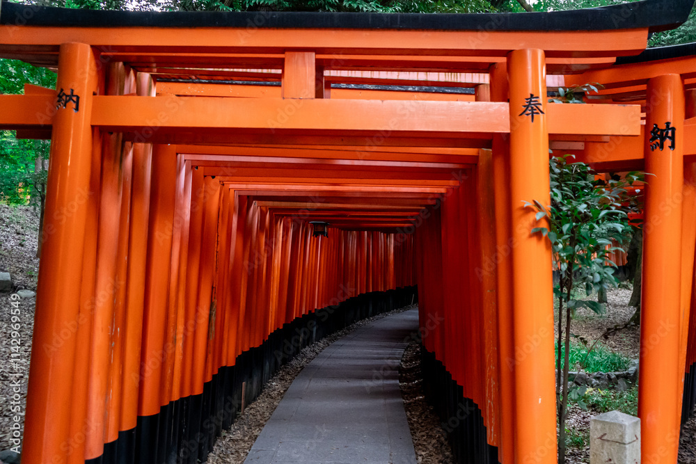 The world famous gates of Fushimi Inari in Kyoto, Japan The world famous gates of Fushimi Inari in Kyoto, Japan