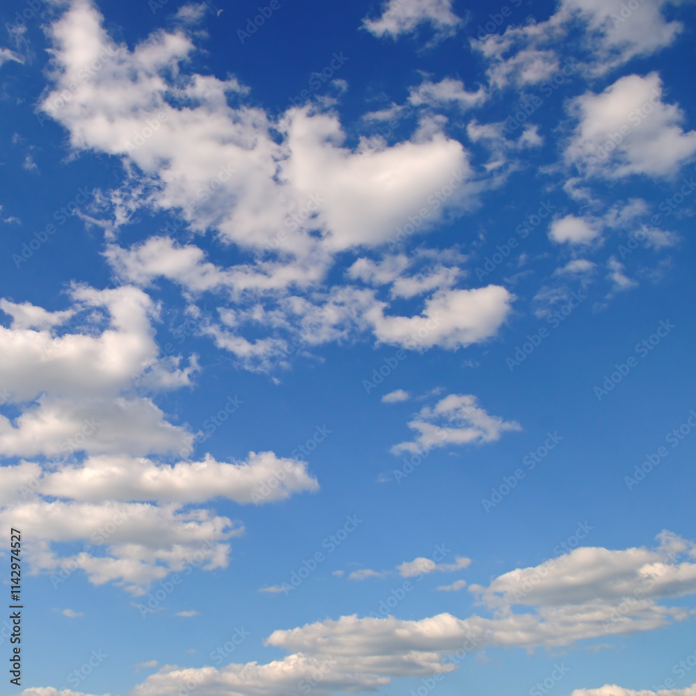 Obraz premium Blue sky with light, cumulus clouds.