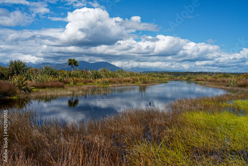 Estuary wetland at Kakapotahi beach. West coast, south island, New Zealand.