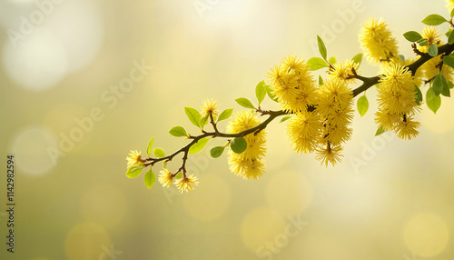 Yellow flowering branch in soft-focus spring background