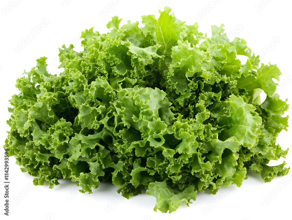 green lettuce isolated on white green lettuce isolated on white