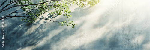 Simple grey concrete wall with tree shadows and sunlight for background. 