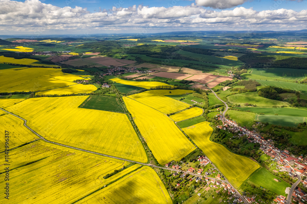Top view of rapeseed fields. Yellow rapeseed field with stripes and abstract landscape. Germany.