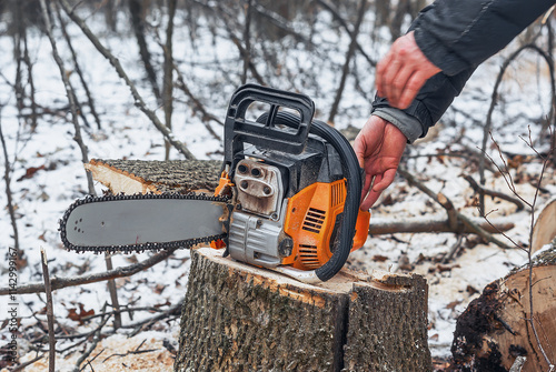 Wallpaper Mural Chainsaw in forest on stump Torontodigital.ca