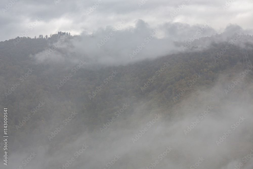 The extensive view of the lush autumn forest in the dense misty mountains creates a charming atmosphere of mystery and tranquility. Autumn in the mountains. The extensive view of the lush autumn forest in the dense misty mountains creates a charming atmosphere of mystery and tranquility. Autumn in the mountains.