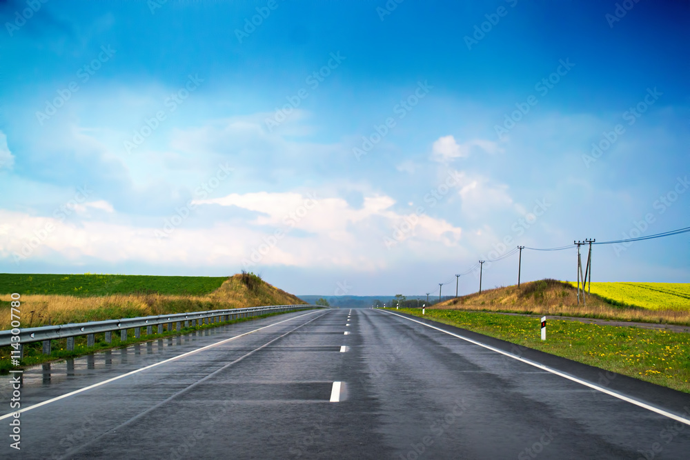 A long, empty road wet after rain runs through lush green and yellow fields, framed by a vibrant blue sky. Power lines line the edges, enhancing the peaceful rural landscape. A long, empty road wet after rain runs through lush green and yellow fields, framed by a vibrant blue sky. Power lines line the edges, enhancing the peaceful rural landscape.