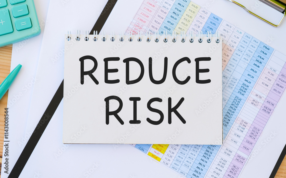 REDUCE RISK, Risk management. reduce the risk of failure and business problems REDUCE RISK, Risk management. reduce the risk of failure and business problems