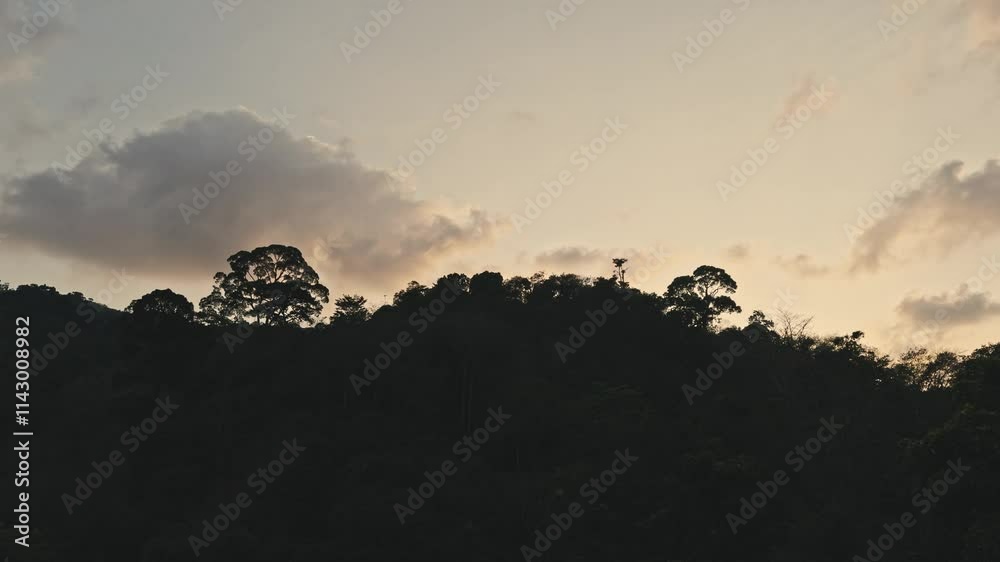 Nature background with silhouettes of tropical trees on orange sky at sunset. Wild plants in jungle on the slope of mountain. Picturesque landscape of orange sky with plants in darkness. Nature background with silhouettes of tropical trees on orange sky at sunset. Wild plants in jungle on the slope of mountain. Picturesque landscape of orange sky with plants in darkness.