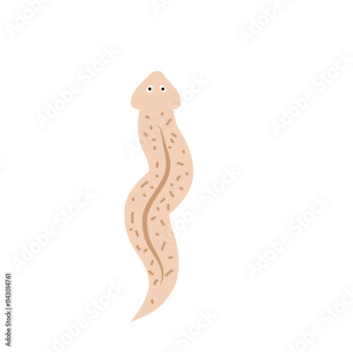 Planarian flatworm isolated vector illustration.