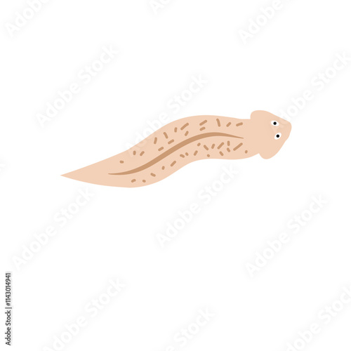 Planarian flatworm isolated vector illustration.