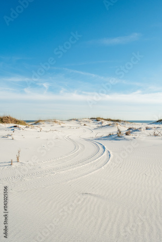 Tire Tracks on White Beach Sand