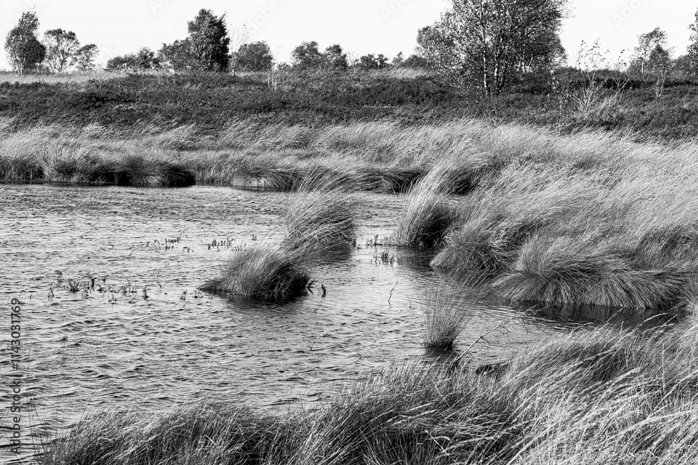 Beautiful natural moorland landscape in the High Fens