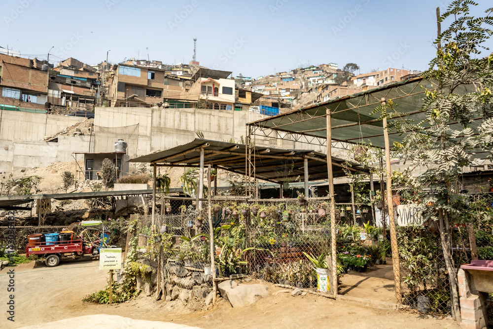 Sale of Small and Large Potted Plants in a Sunny and Covered Nursery with Calamine Roofing