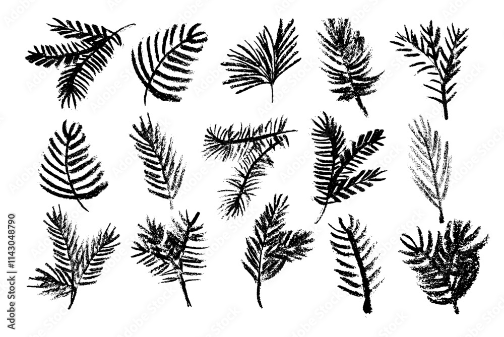 Hand drawn vector winter evergreen branches with pine and fir branches, vector evergreen plant, Christmas tree branch and pine branch. Hand drawn vector winter evergreen branches with pine and fir branches, vector evergreen plant, Christmas tree branch and pine branch.