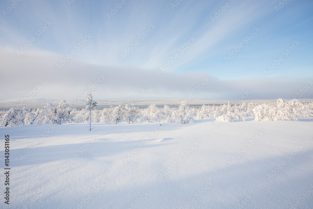 Winter landscape in Pallas Yllastunturi National Park, Lapland, Finland Winter landscape in Pallas Yllastunturi National Park, Lapland, Finland