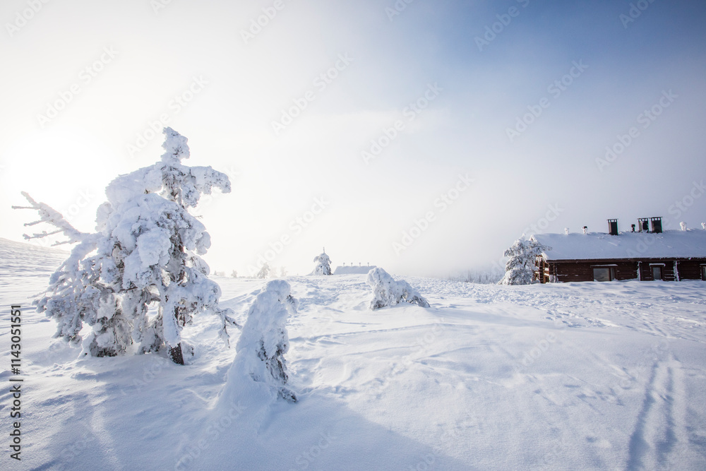 Ski expedition in Pallas Yllastunturi National Park , Lapland, Finland Ski expedition in Pallas Yllastunturi National Park , Lapland, Finland