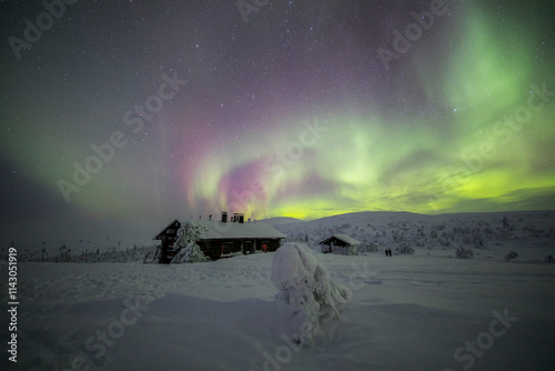 Northern lights in Pallas Yllastunturi National Park, Lapland, Finland photo