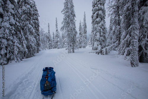 Ski expedition in Pallas Yllastunturi National Park , Lapland, Finland photo