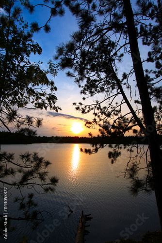 Pine Tree Sunset Silhouette