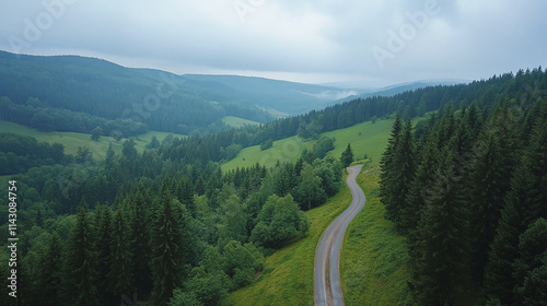 Winding forest road, seen from drone aerial view. journey through green landscape, trees lining rural highway. nature travel from above, showing transportation route in countryside environment.