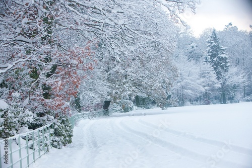 File Image: Image depicting a robin in Marlay Park in Dublin, Ireland during the Christmas holidays in December 2010 during a period of heavy snow.