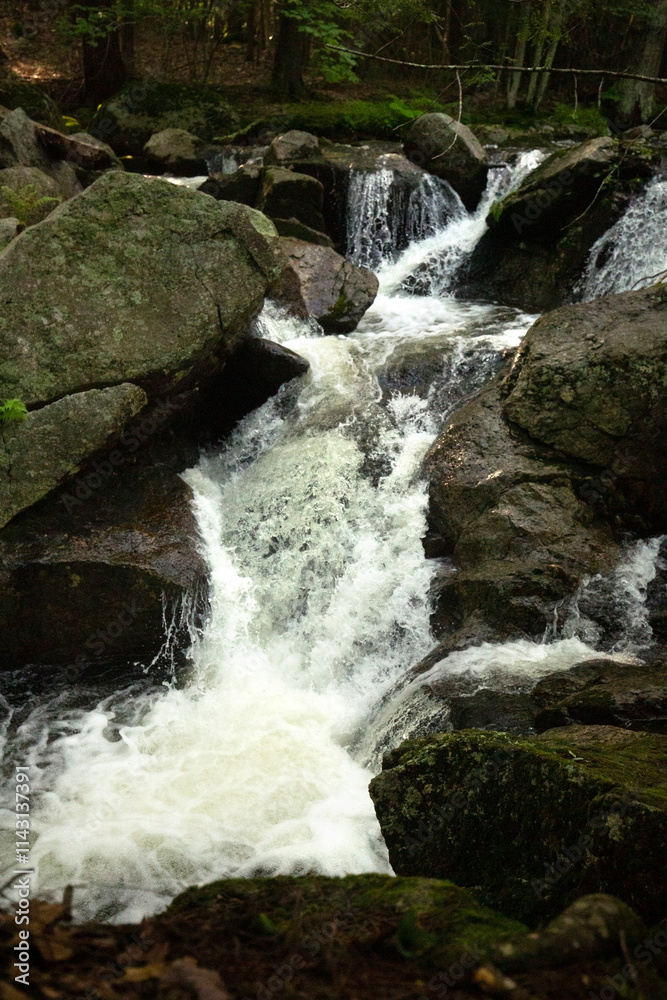 Fototapeta premium Stop action in a waterfall on Andrews Brook, New Hampshire.