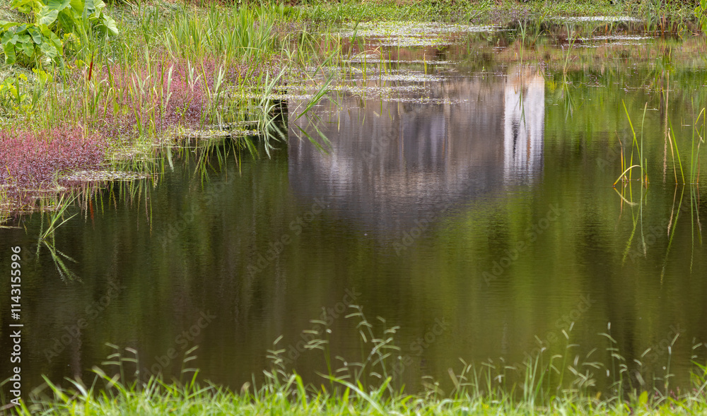 Obraz premium small lake waters framed by vegetation of grasses and aquatic plants with reflection of a rural house 1