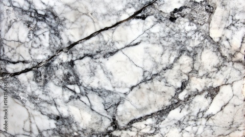 A close-up view of a marble surface featuring intricate black and white veining patterns.