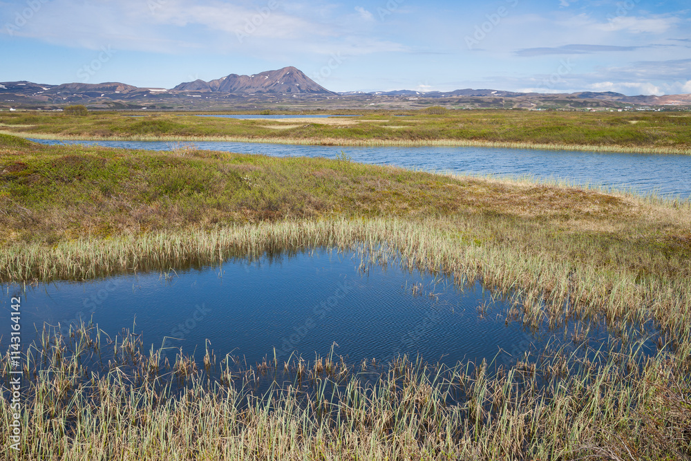 Myvatn in iceland Myvatn in iceland