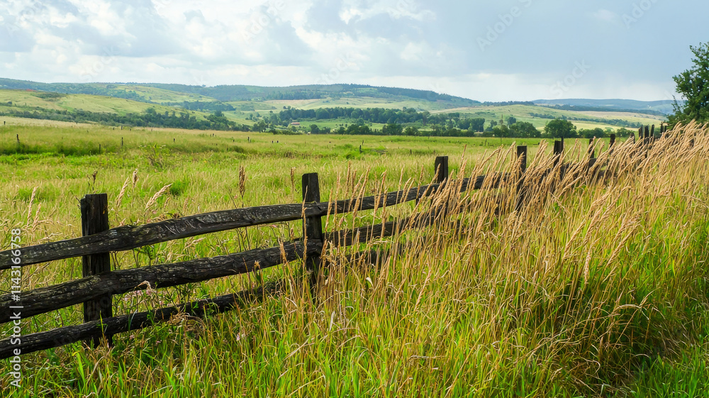 A whimsical countryside field with tall, golden wheat swaying in the breeze, a rustic wooden fence, and rolling hills in the distance, capturing the serene beauty of rural life. A whimsical countryside field with tall, golden wheat swaying in the breeze, a rustic wooden fence, and rolling hills in the distance, capturing the serene beauty of rural life.