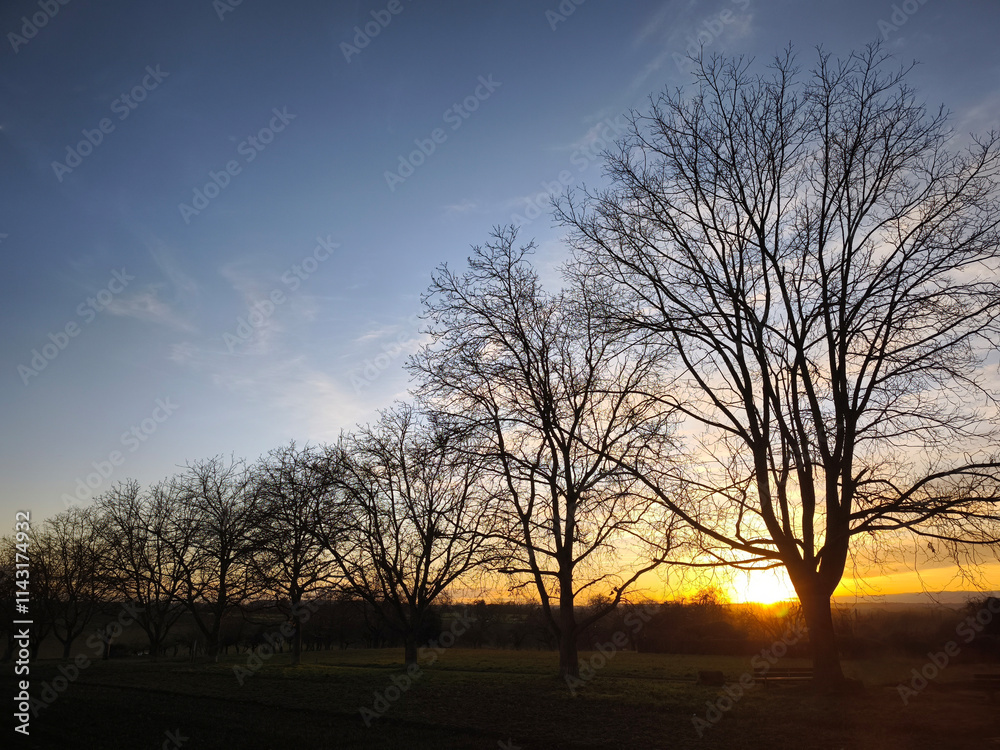 Fototapeta premium Sunset at the Nussbaum Reihe