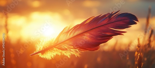 Bird feather illuminated by sunset with warm colors creating a serene and tranquil natural scene in the background. photo