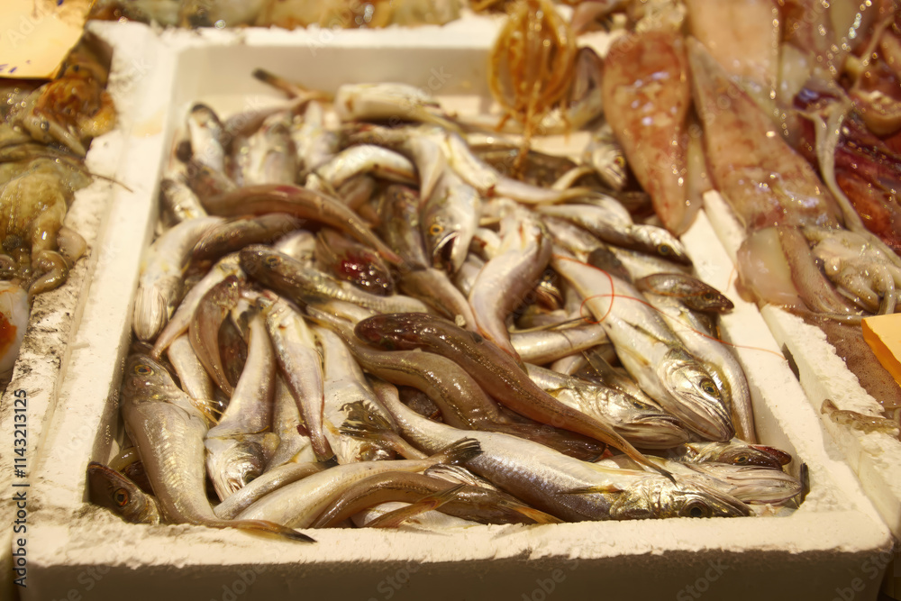 Small fresh fish in the covered market Small fresh fish in the covered market