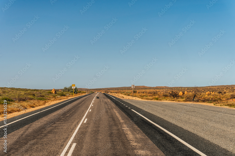 Australien road in the Outback with trees on the Roadside Australien road in the Outback with trees on the Roadside