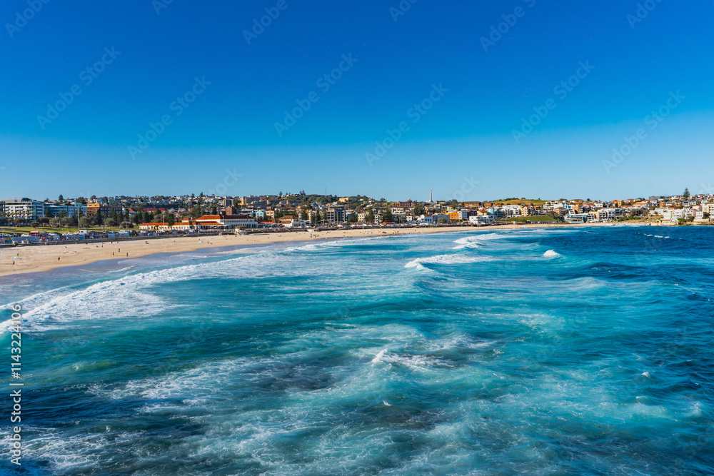Fototapeta premium Beach in Sydney with surfers